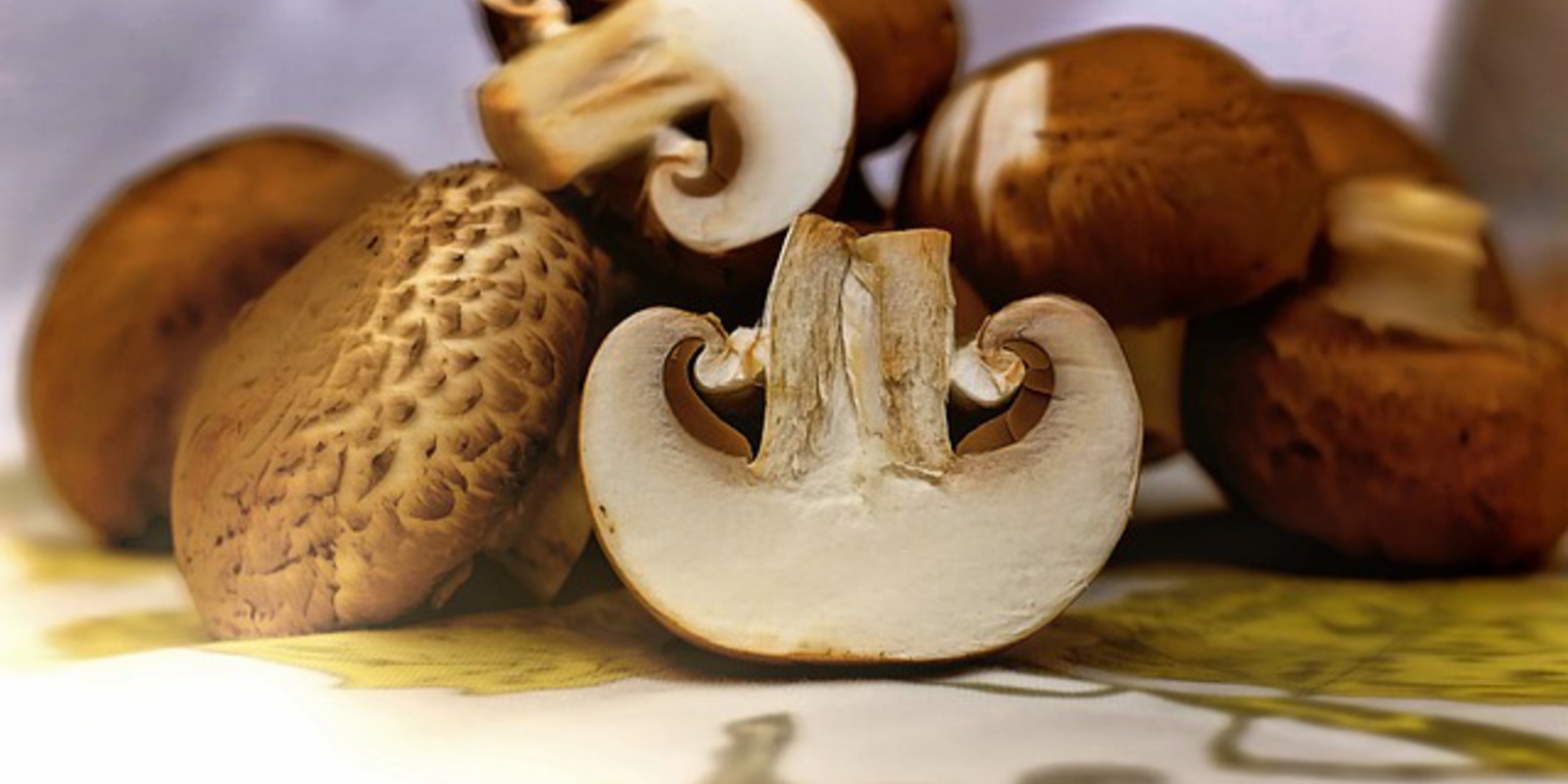 Foto van champignon